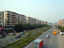 大源村[廣東省廣州市白雲區大源村]