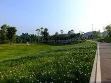 自貢市釜溪河濕地公園