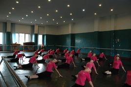 社會實踐教學 社會實踐教學