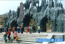 南陽南召猿人遺址