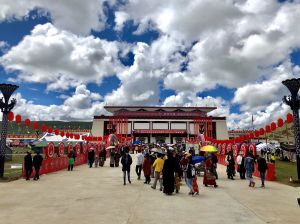 那曲魅力蟲草節 那曲魅力蟲草節