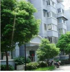 鑫鳳家苑 鑫鳳家苑