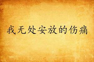 我無處安放的傷痛 我無處安放的傷痛