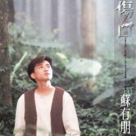 傷口[蘇有朋音樂專輯]