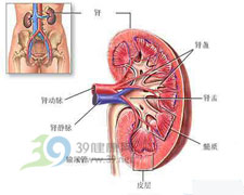 隱匿性腎小球腎炎