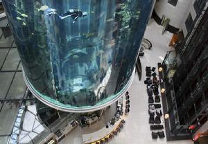 電梯[固定式升降設備]