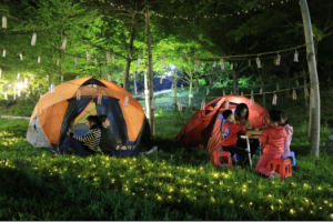 野外露營