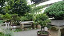 盆景園