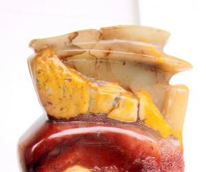 開放著的白牡丹花