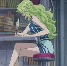 雪雪果實 雪雪果實