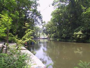 格氏栲自然保護區