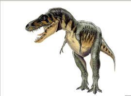 特暴龍 特暴龍
