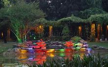 中國科學院武漢植物園