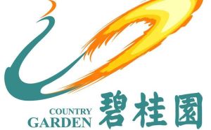 碧桂園控股有限公司 碧桂園控股有限公司