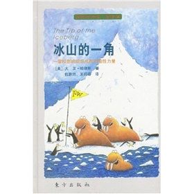 《冰山的一角》