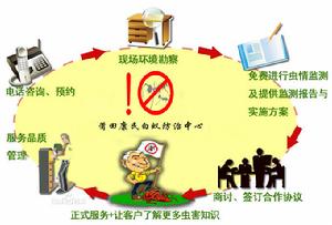 莆田康民白蟻防治有限公司服務流程