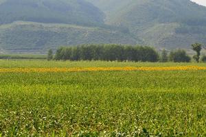 韓家店鄉 韓家店鄉