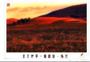 Meige綜合徵 Meige綜合徵