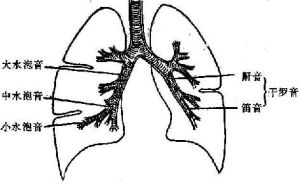語音震顫 語音震顫
