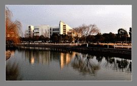 上海大學美術學院