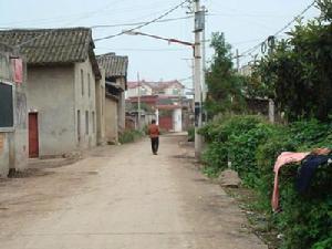賣柴街村-村內道路
