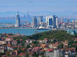 青島六和 青島六和