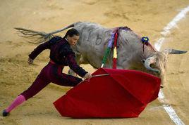 鬥牛[西班牙鬥牛]