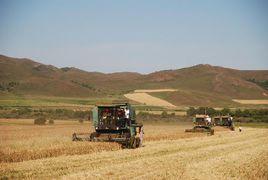 索倫牧場 索倫牧場