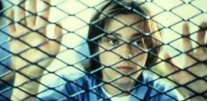 動物工廠 動物工廠