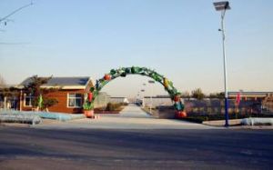 泉城農業公園 泉城農業公園