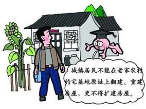 農用地轉用 農用地轉用