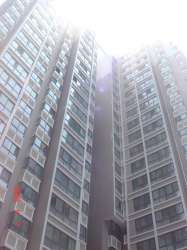 嘉泰隆花園 嘉泰隆花園