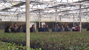 沭陽縣已經成功舉辦三期貧困農業勞動力培訓班