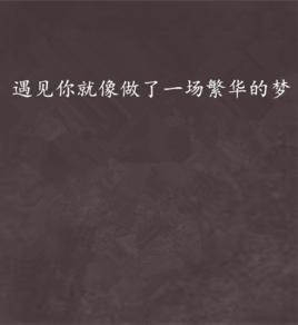 遇見你就像做了一場繁華的夢 遇見你就像做了一場繁華的夢