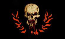 黑鬍子的第二面海盜旗