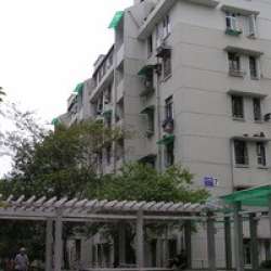 珠碧一弄 珠碧一弄