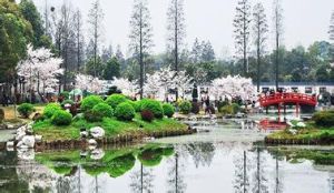 英山縣桃花衝風景區 英山縣桃花衝風景區