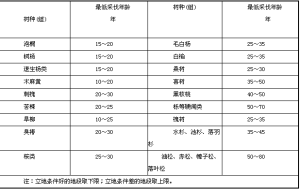 防護林帶主要樹種更新採伐年齡