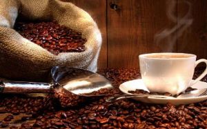 哥斯大黎加咖啡 哥斯大黎加咖啡