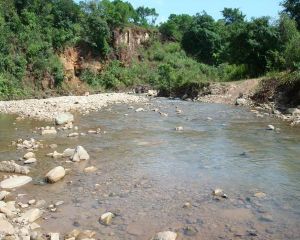 新億自然村 新億自然村