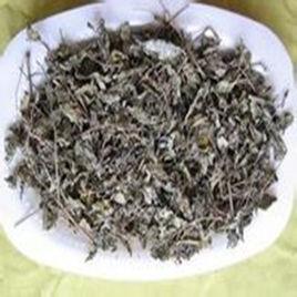 溪黃茶 溪黃茶