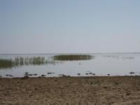 綽爾河流域居延海地區 綽爾河流域居延海地區
