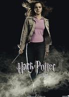 哈利&middot;波特與火焰杯[英美2005年邁克&middot;紐維執導電影]