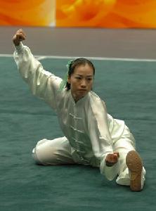 奧運會武術比賽