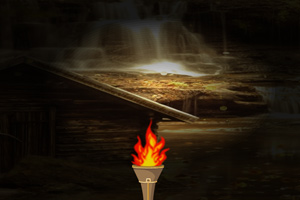 秋季森林尋寶 秋季森林尋寶