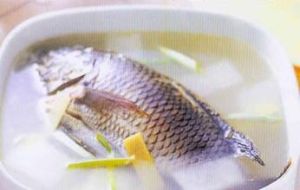 白玉鯉魚湯 白玉鯉魚湯