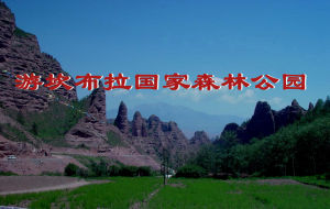 坎布拉森林公園 坎布拉森林公園