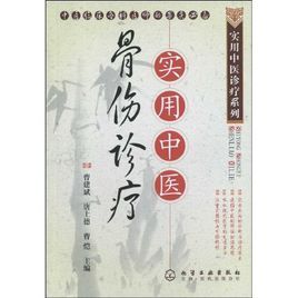 實用中醫骨傷診療 實用中醫骨傷診療