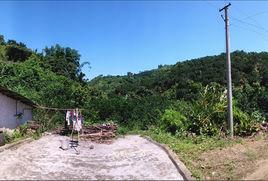 廣西容縣十里鄉大鵬村 廣西容縣十里鄉大鵬村