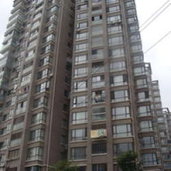 樹客國際公寓 樹客國際公寓